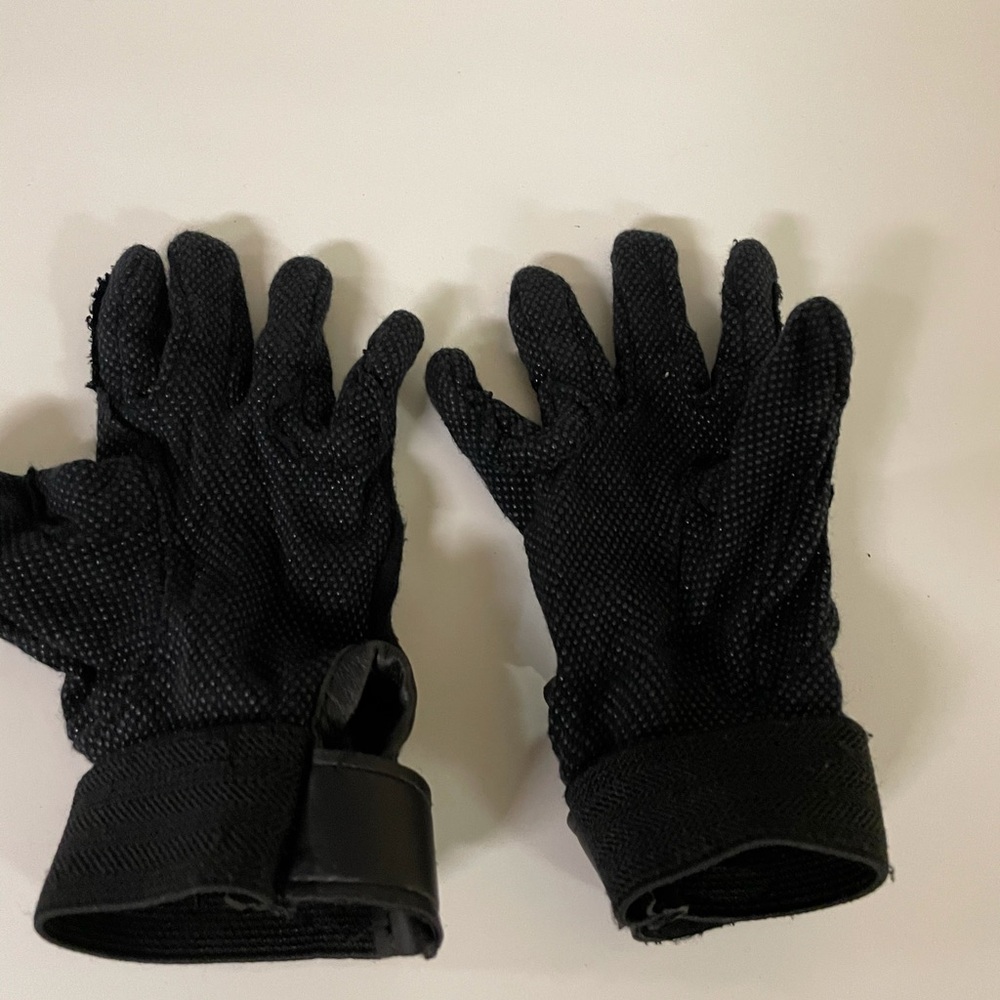 Horse Riding Gloves and Whip